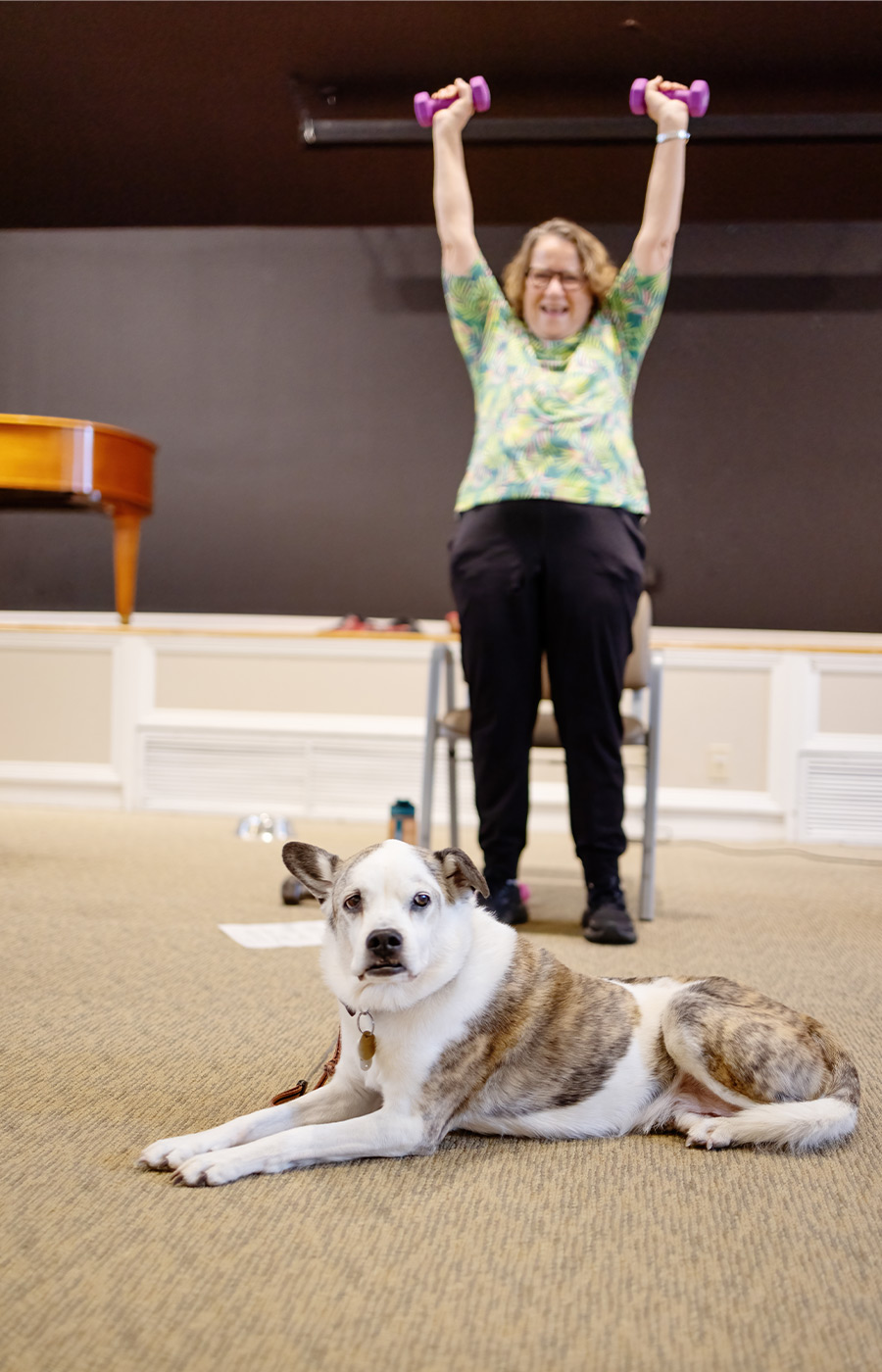 A person working out with their dog.