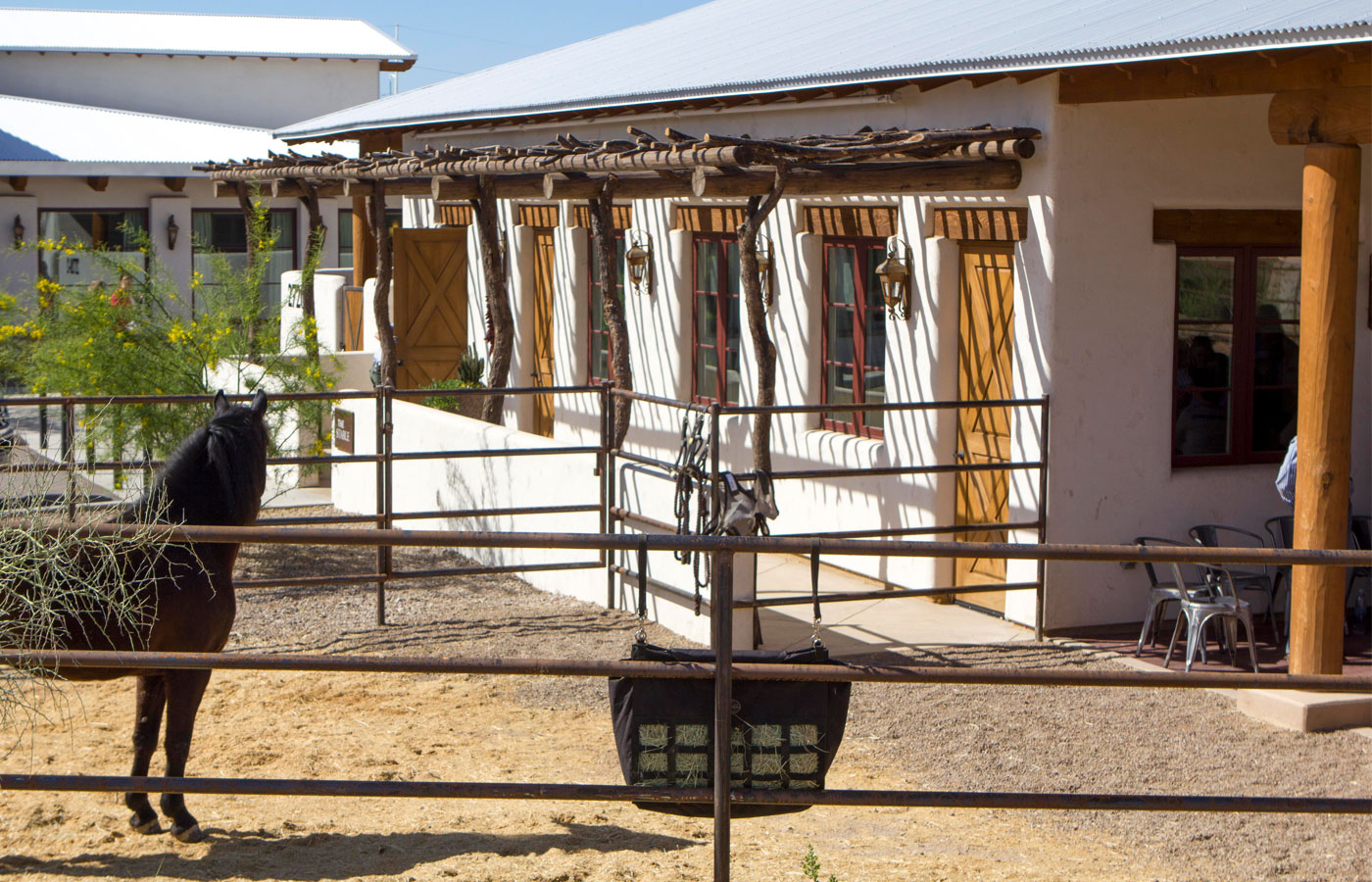 Horse in stables.