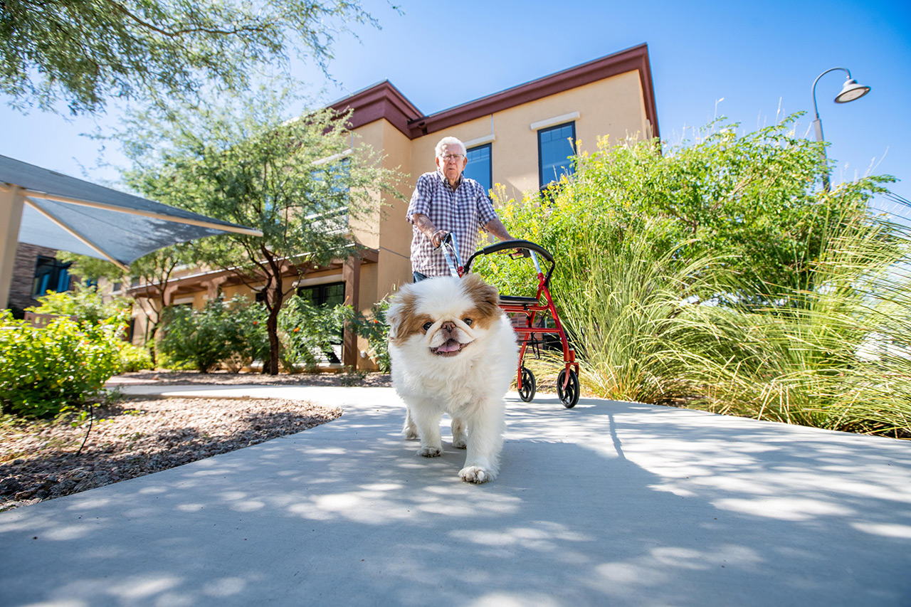 A resident is walking their dog.