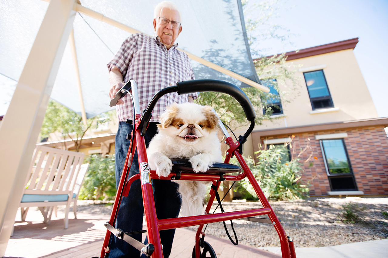 A resident is walking their dog.