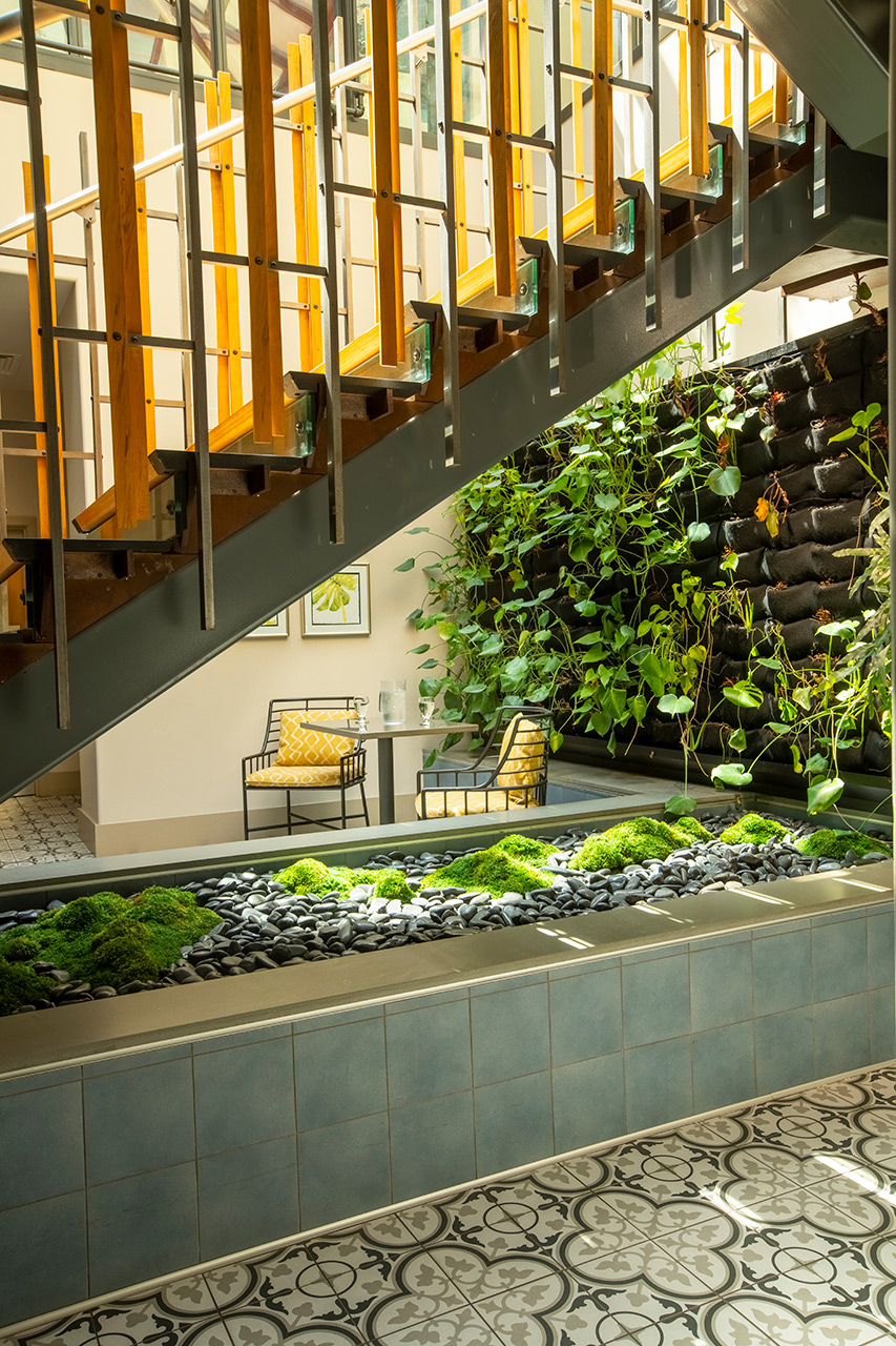 Garden under stairway.