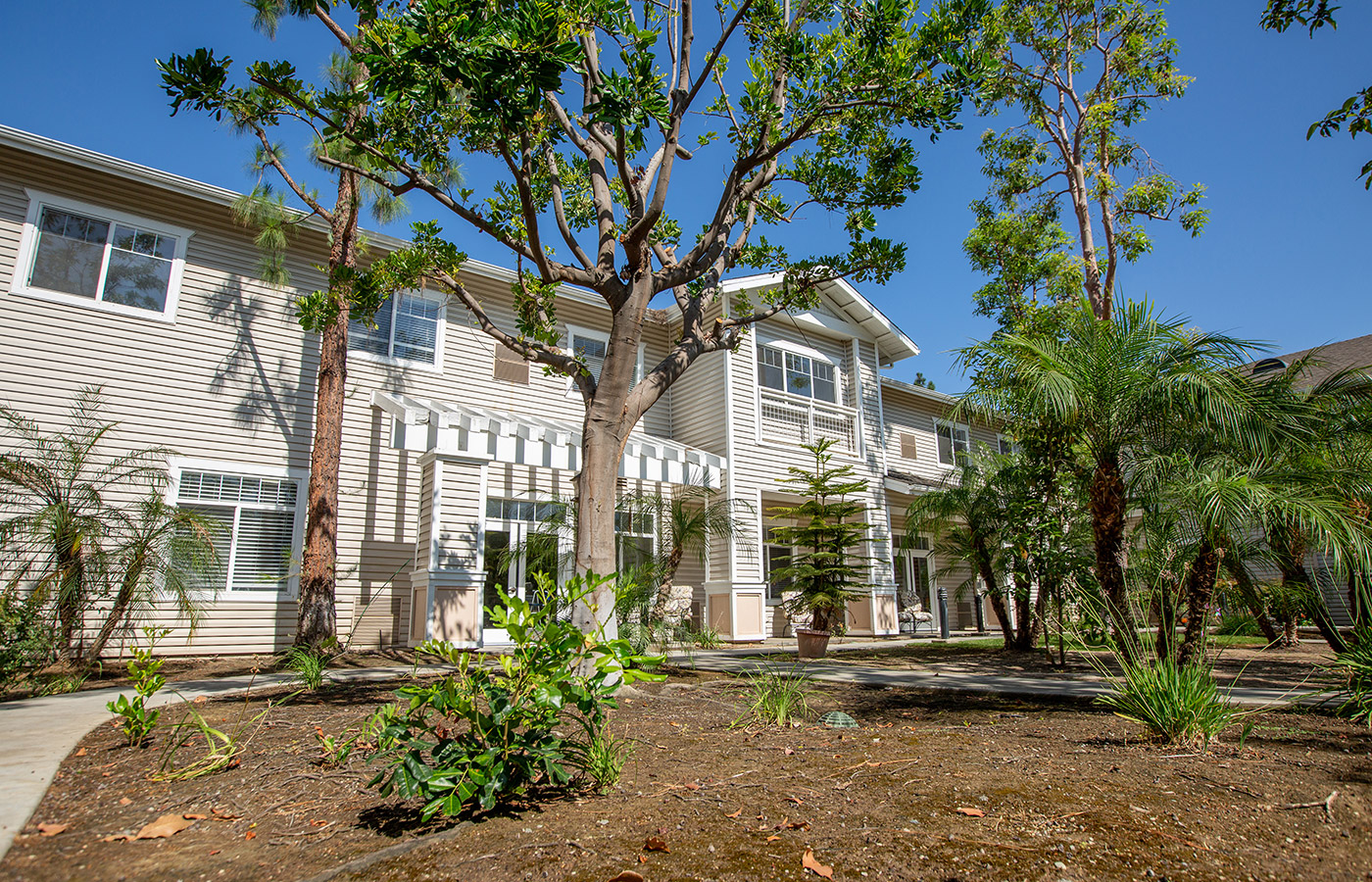 The courtyard at Whittier Place.