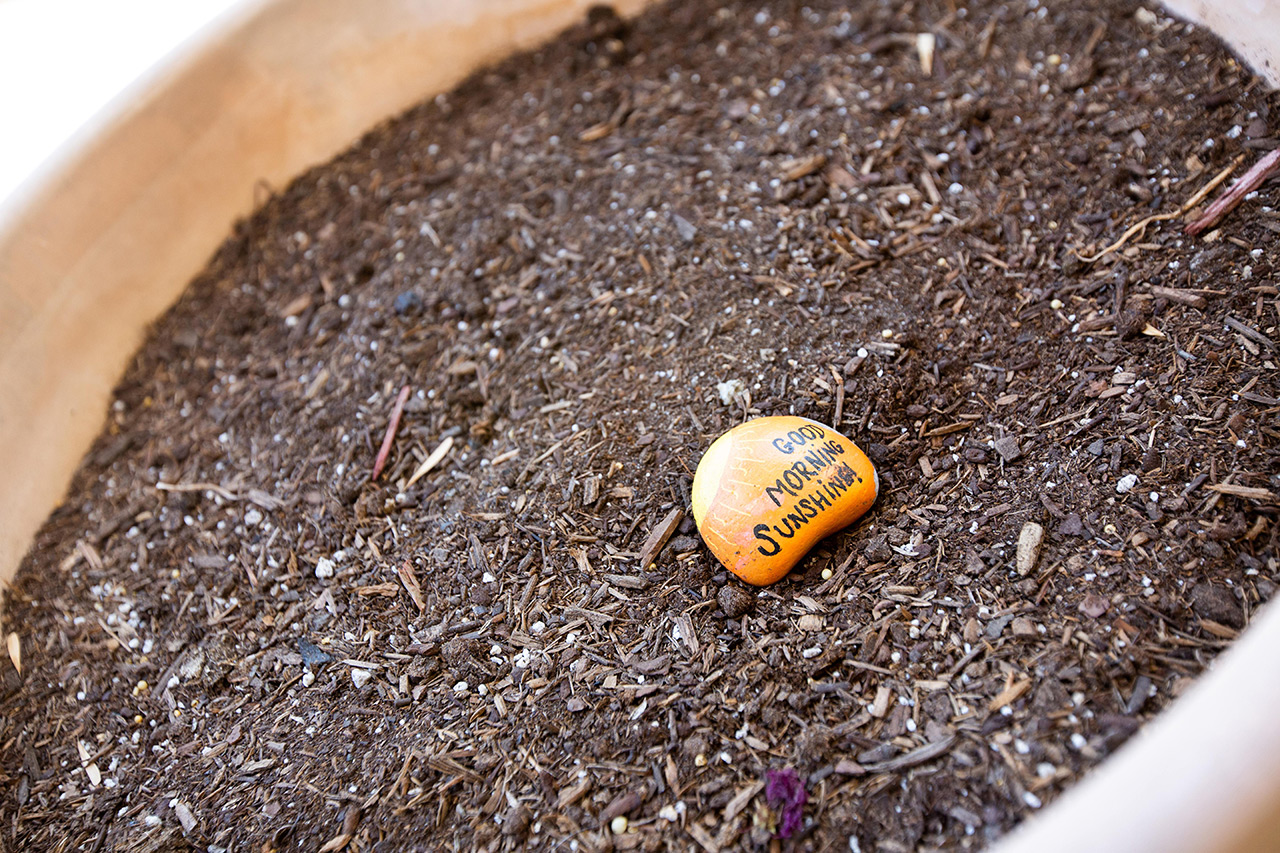 Message rock in soil.