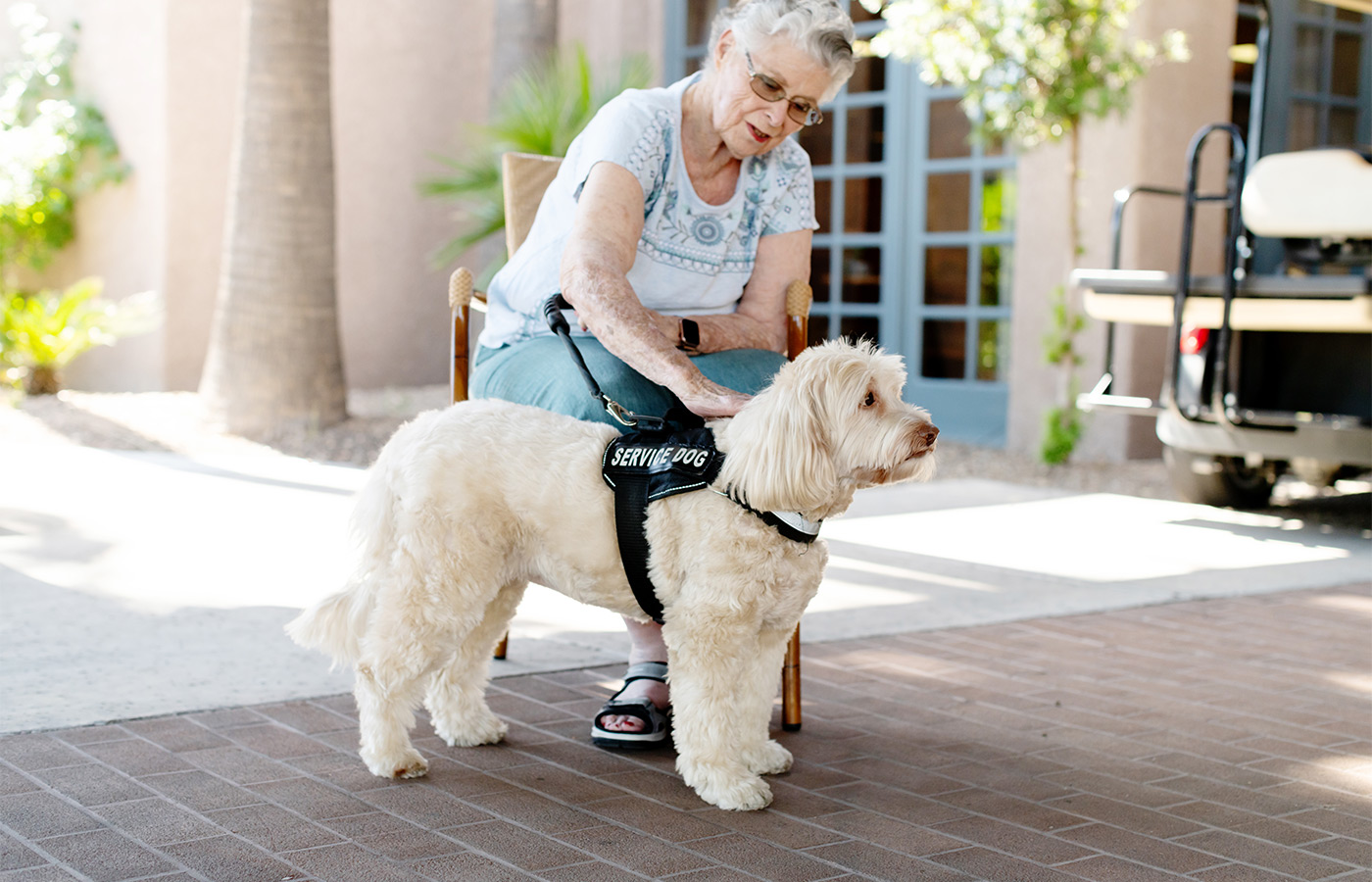 A person with a service dog.