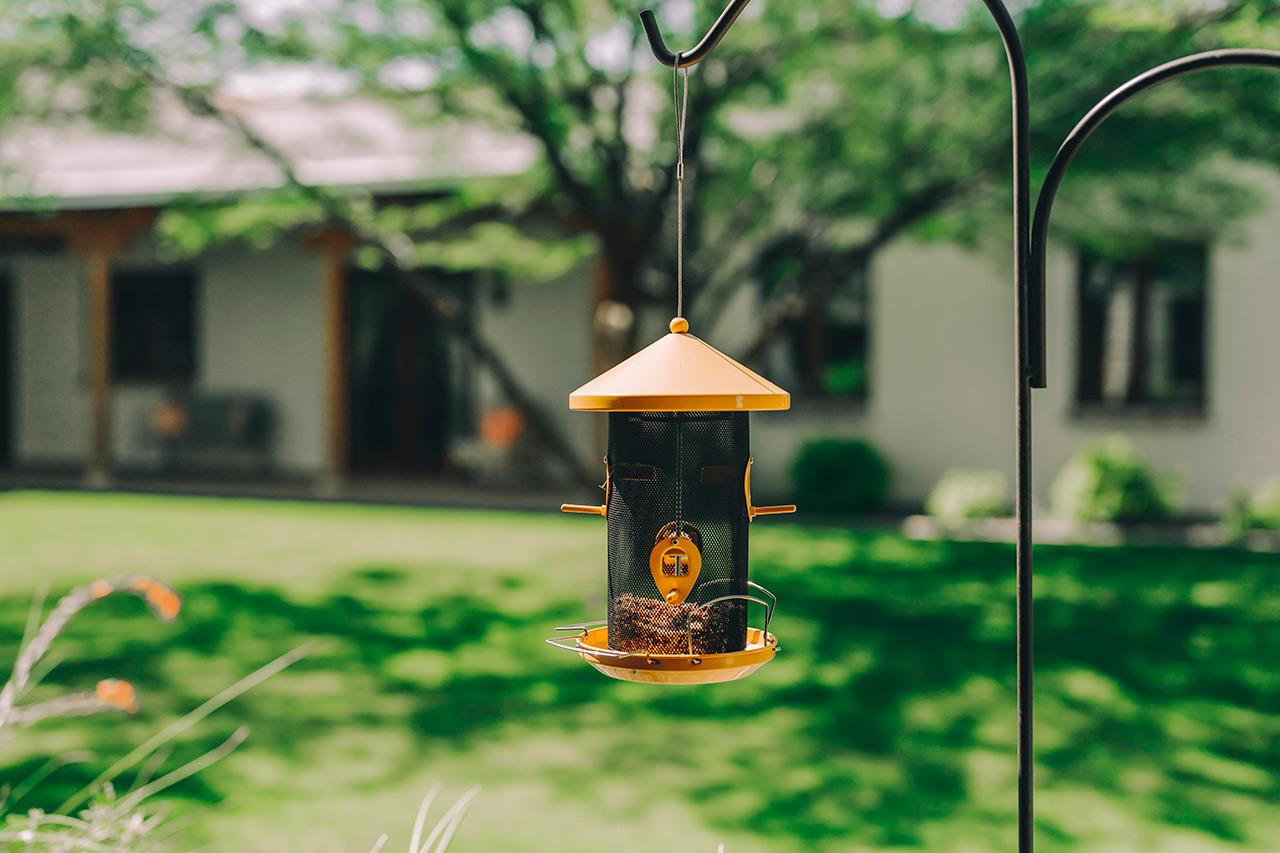 Hummingbird feeder.