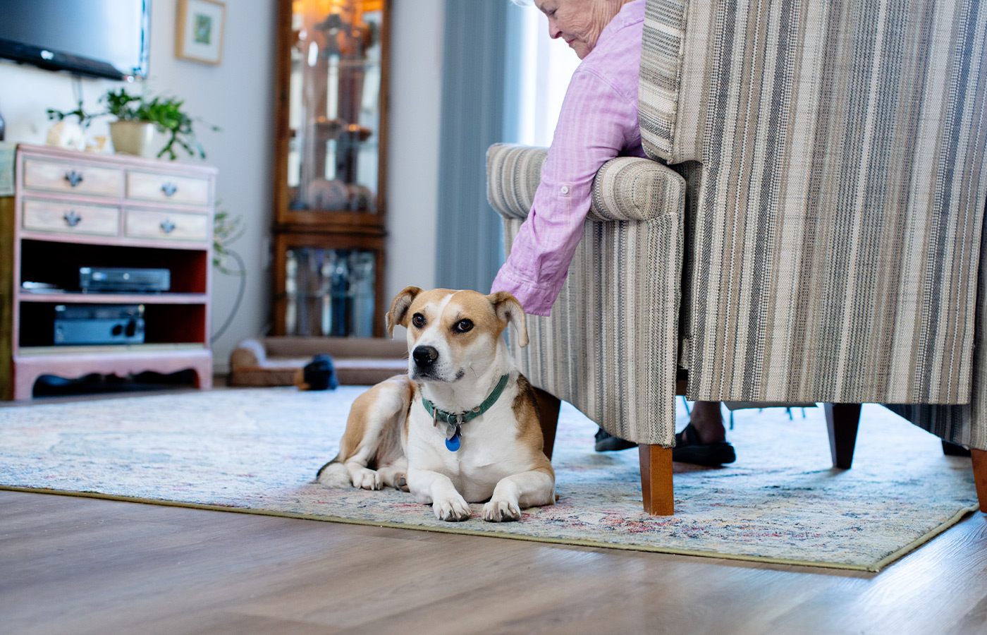 A person petting their dog.