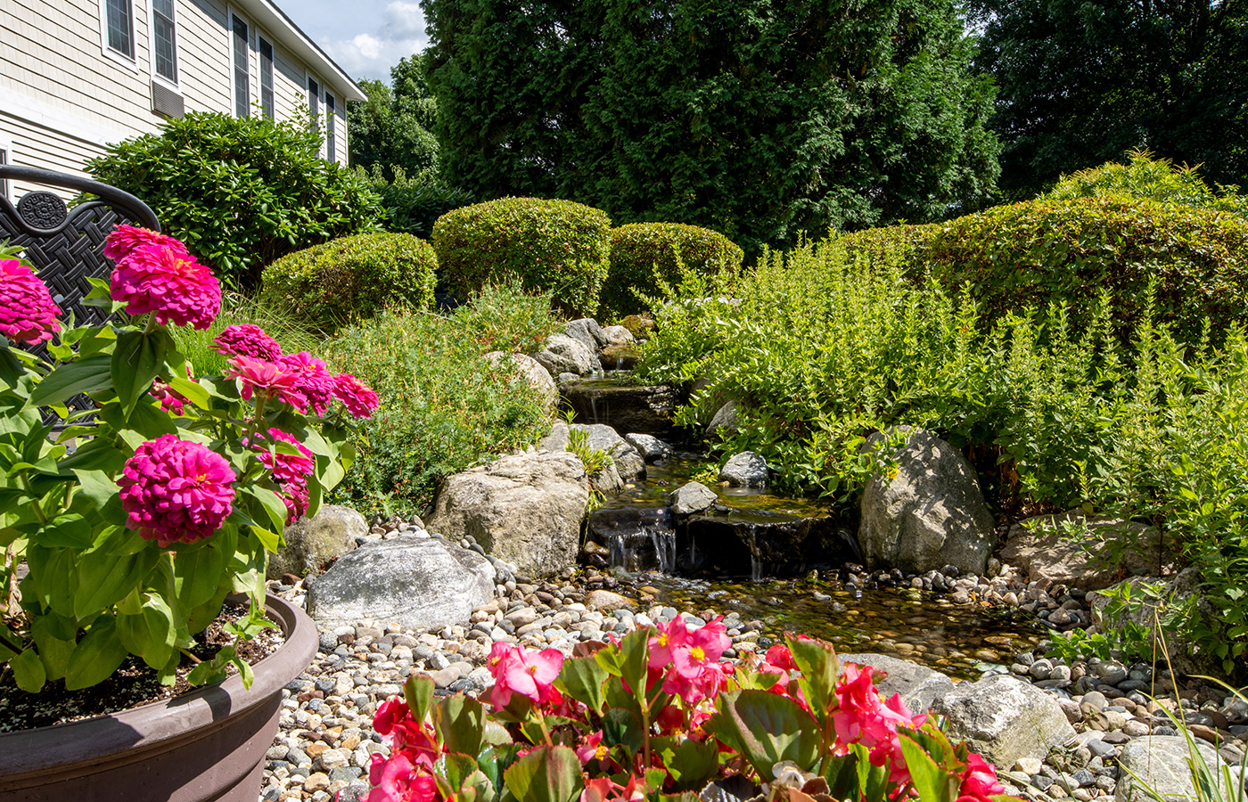 A garden with flowers.