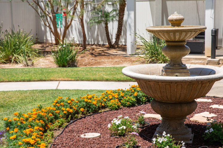 A bird fountain in the courtyard.