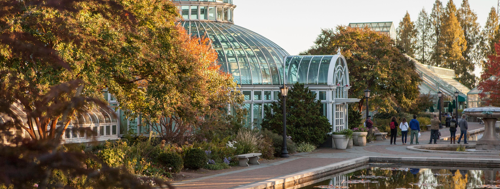 Botanical gardens in Brooklyn park. 