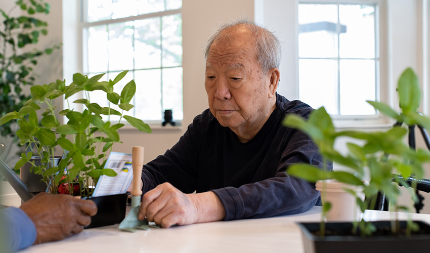 A person reaching for a plant.