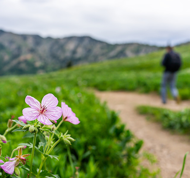 A hiking trail.