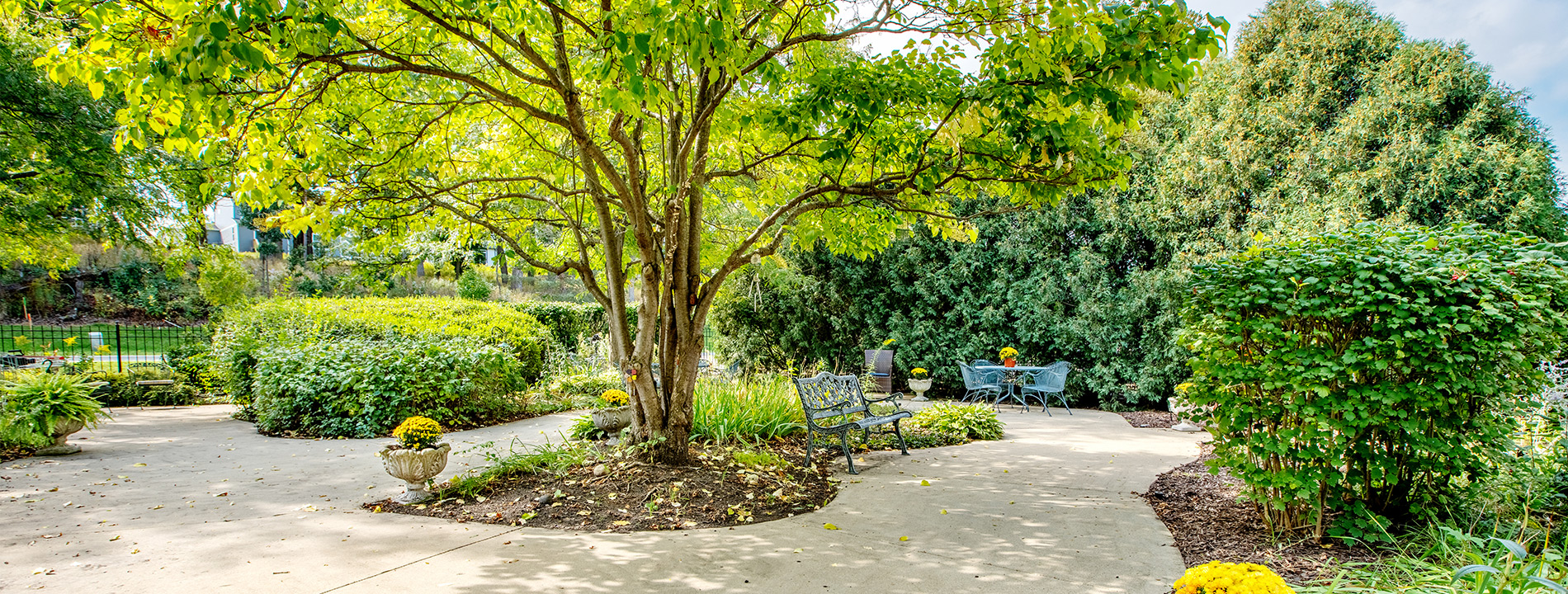 A garden with sidewalk pathways.