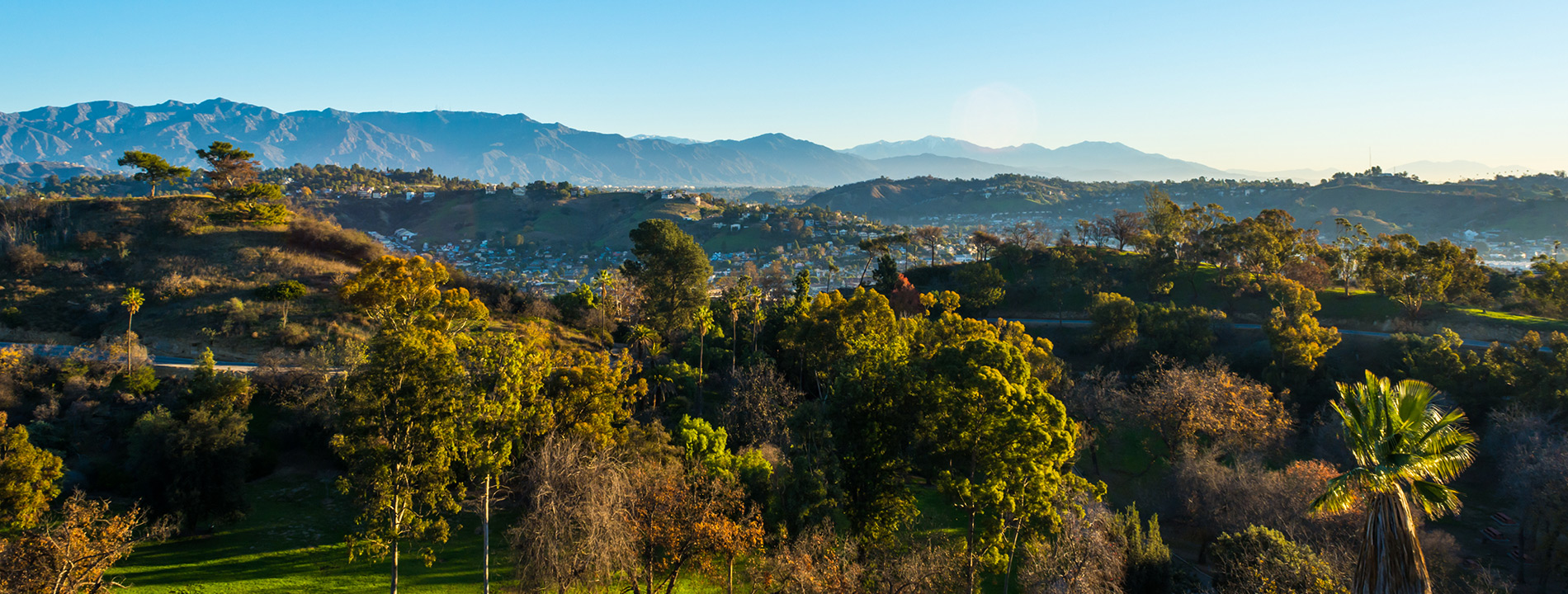 View above trees and a mountain range.