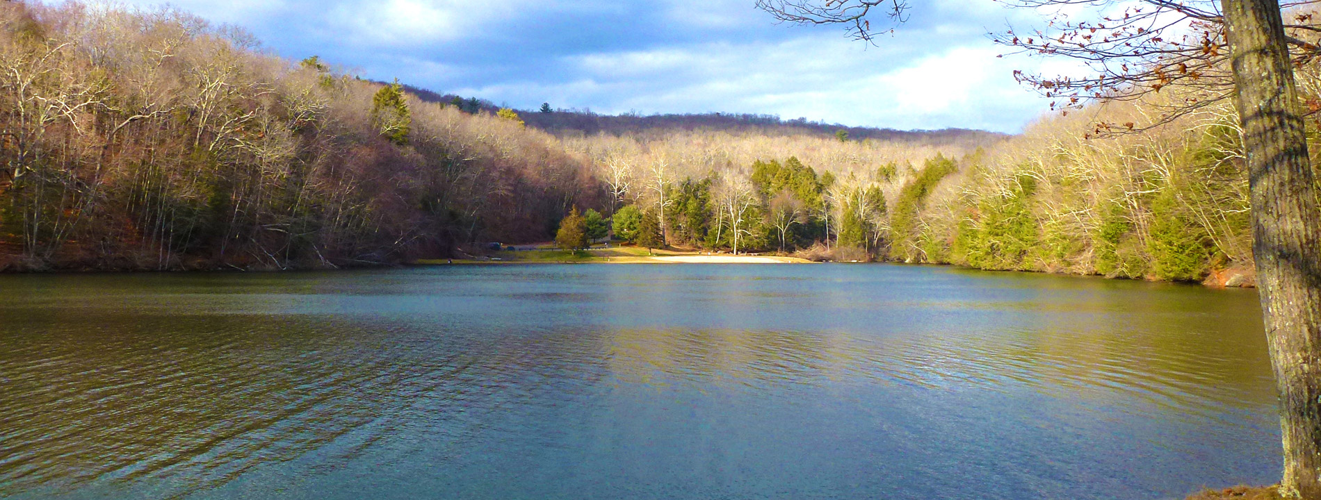 A lake surrounded by green trees.