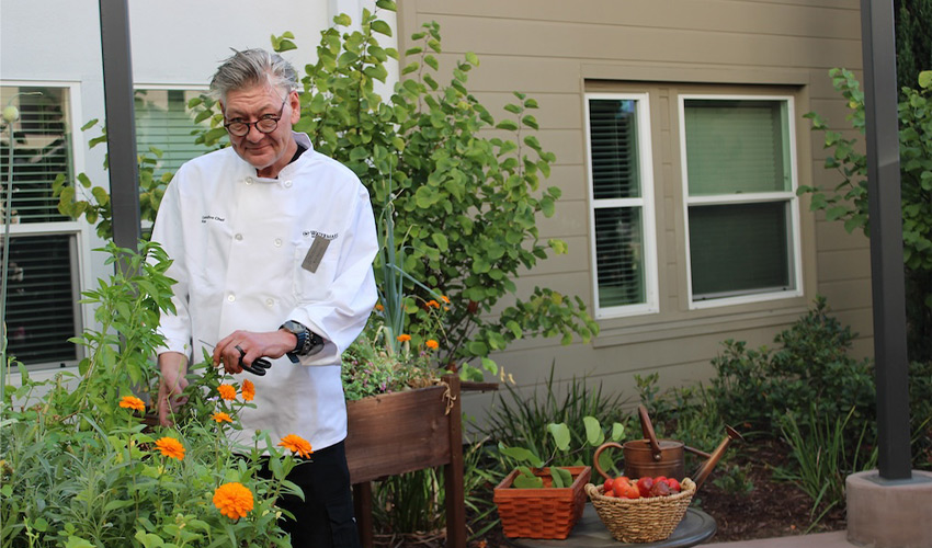 A chef outside in a garden.