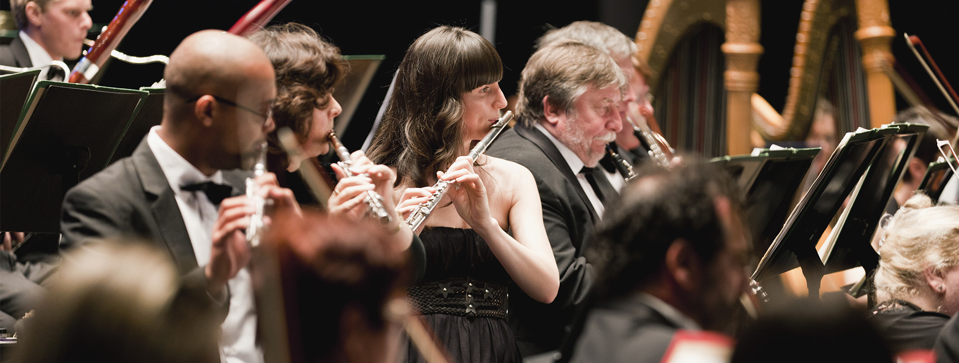 close up of individuals playing instruments in the orchestra