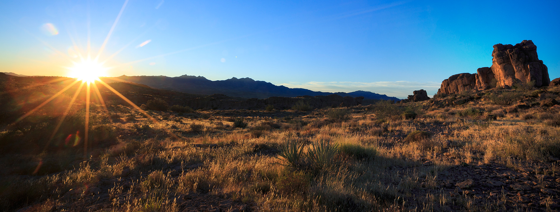 A desert with the sun rising.