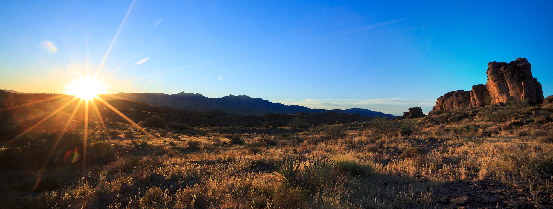 A desert landscape.