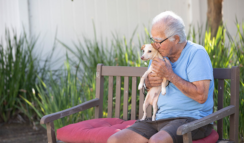 A person sitting on a bench with their dog.